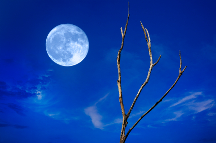 inktuition blue moon