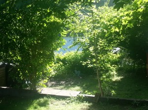 inktuition sunset seat