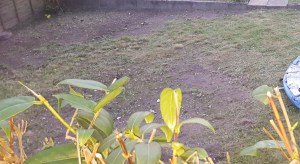 inktuition gruelling garden