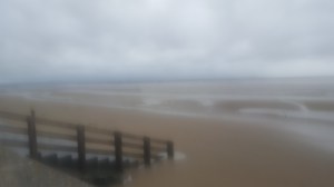 inktuition lonely lune